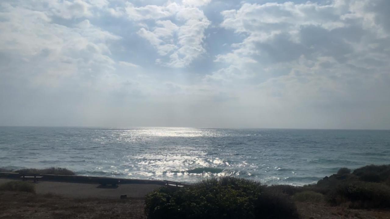 1 * Agde